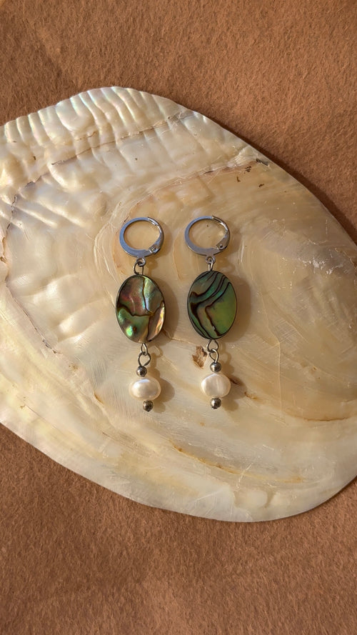 Earrings 51
